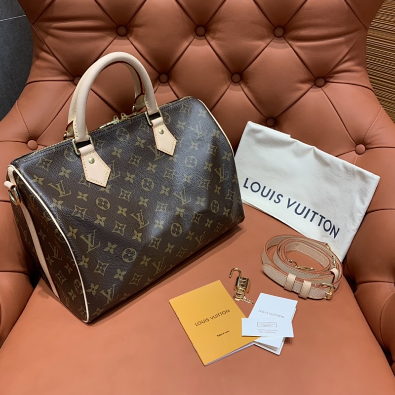 LOUIS VUITTON BAG (66)
