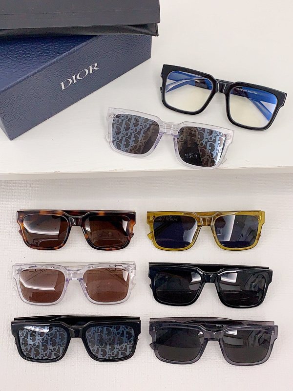 DIOR SUNGLASSES (29)