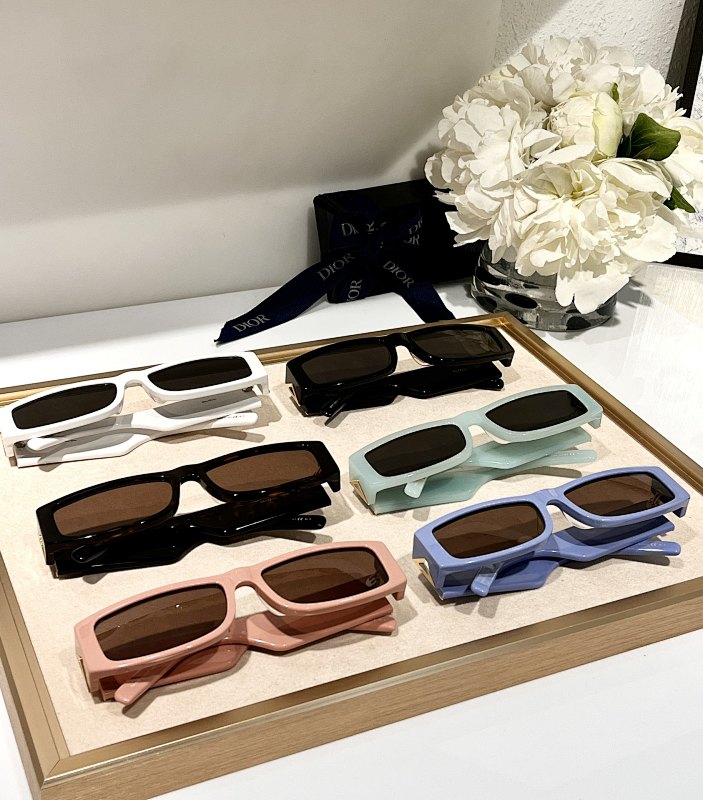DIOR SUNGLASSES (193)