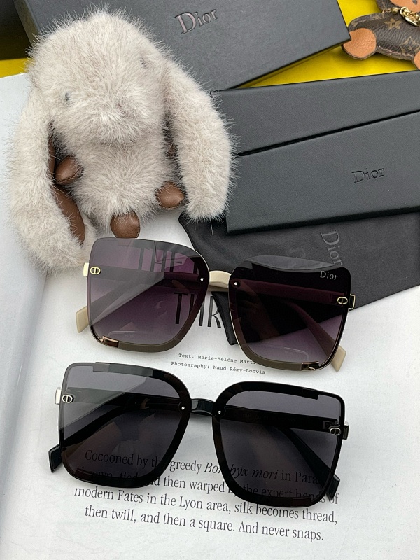 DIOR SUNGLASSES (250)