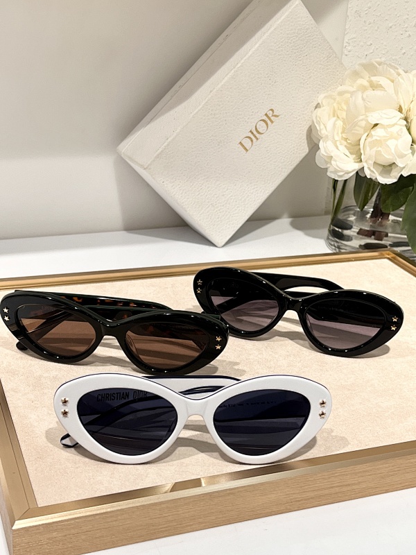 DIOR SUNGLASSES (172)