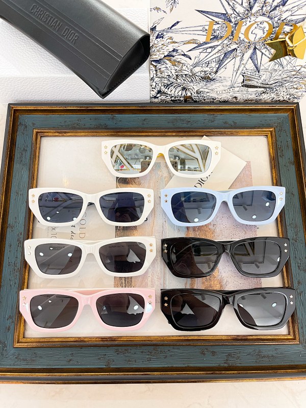DIOR SUNGLASSES (205)