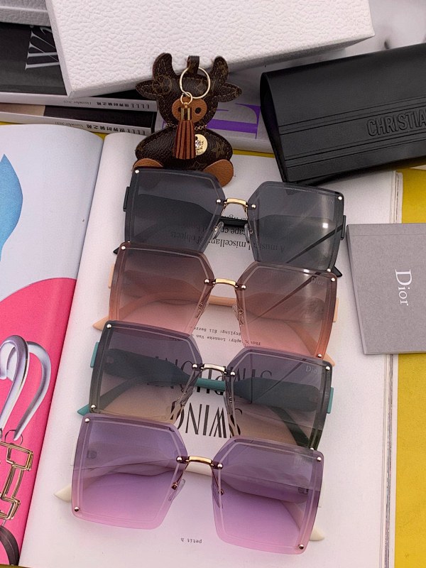 DIOR SUNGLASSES (59)