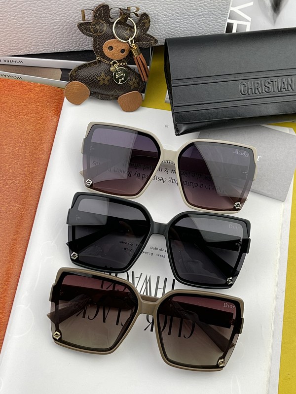 DIOR SUNGLASSES (154)