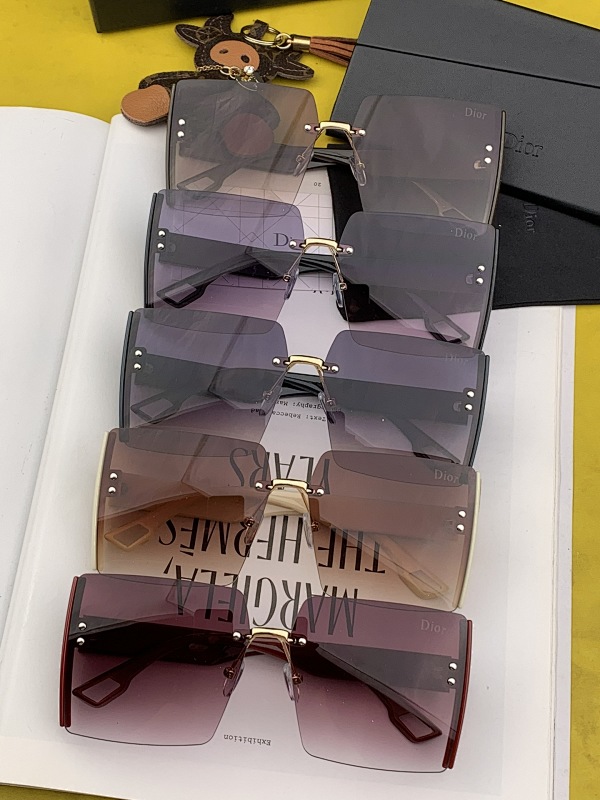 DIOR SUNGLASSES (169)