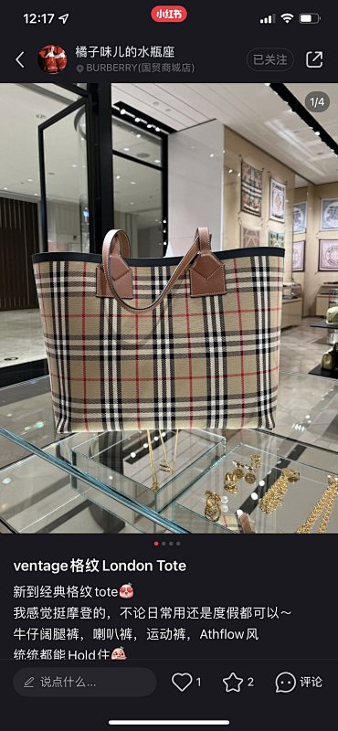 BURBERRY BAG (195)