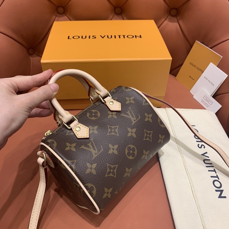 LOUIS VUITTON BAG (65)