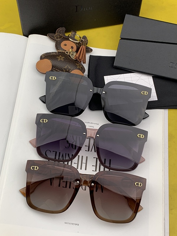 DIOR SUNGLASSES (133)