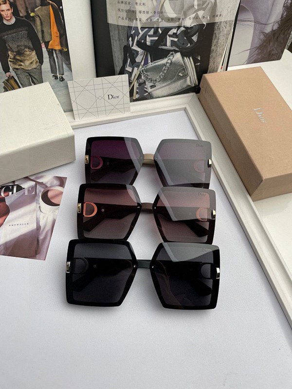 DIOR SUNGLASSES (34)