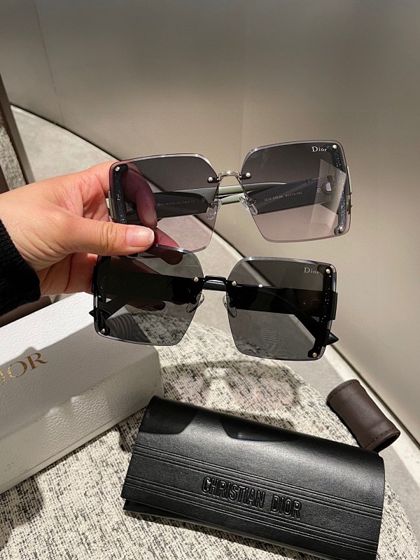 DIOR SUNGLASSES (115)