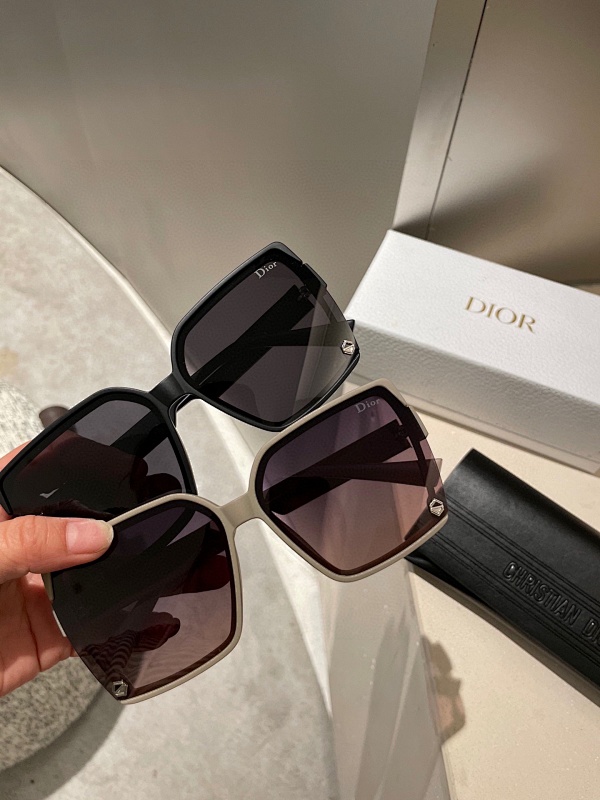 DIOR SUNGLASSES (22)