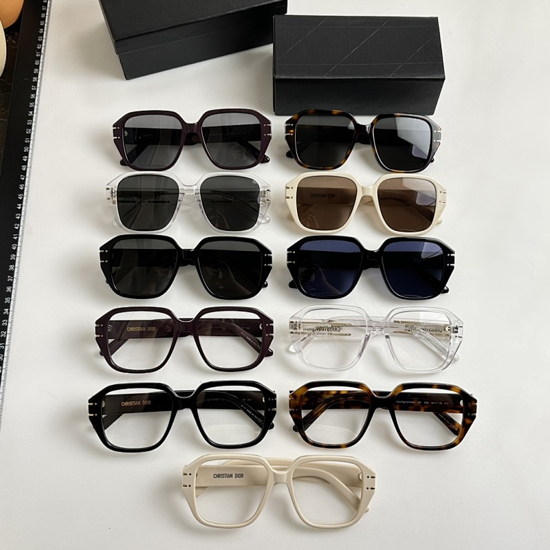 DIOR SUNGLASSES (173)