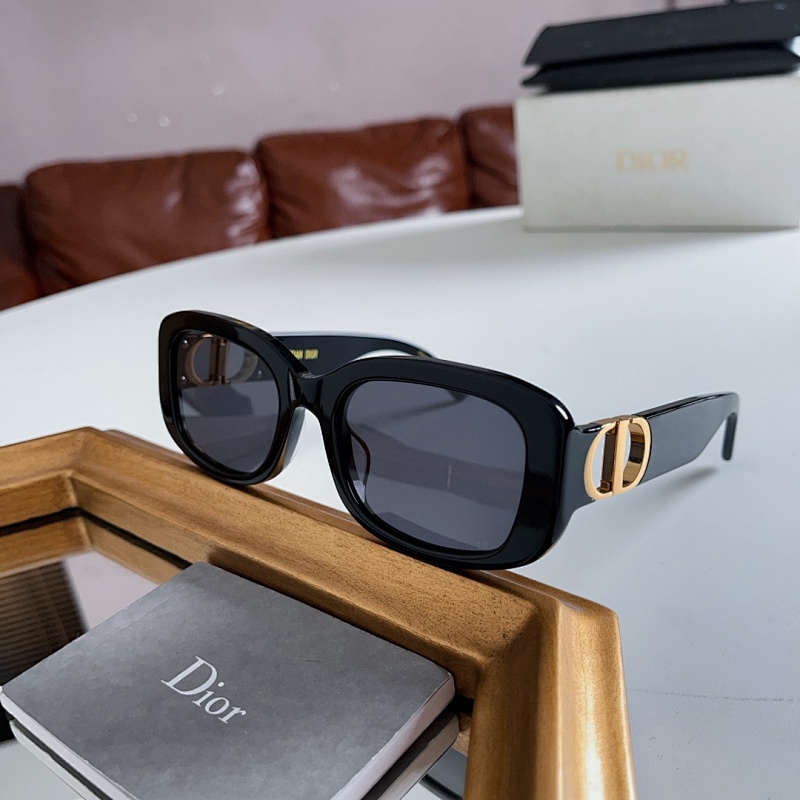 DIOR SUNGLASSES (286)