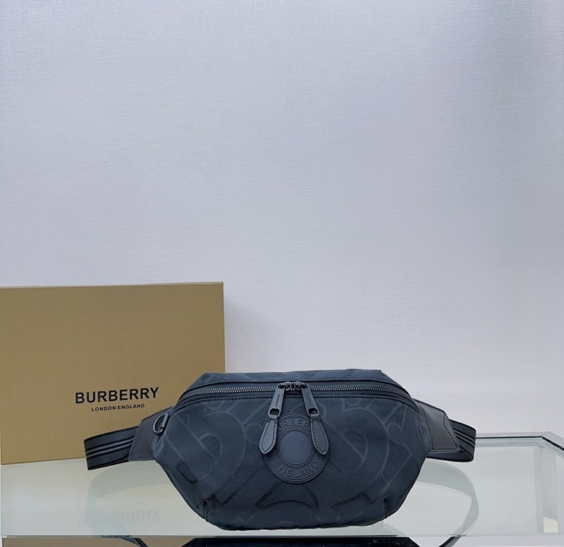 BURBERRY BAG (164)