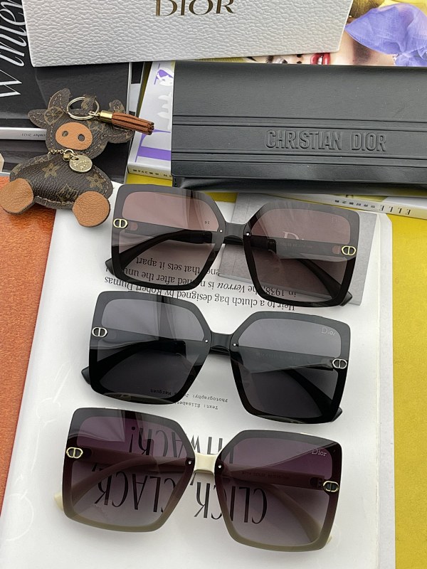 DIOR SUNGLASSES (155)
