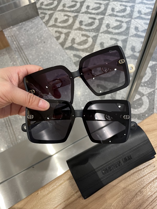 DIOR SUNGLASSES (73)