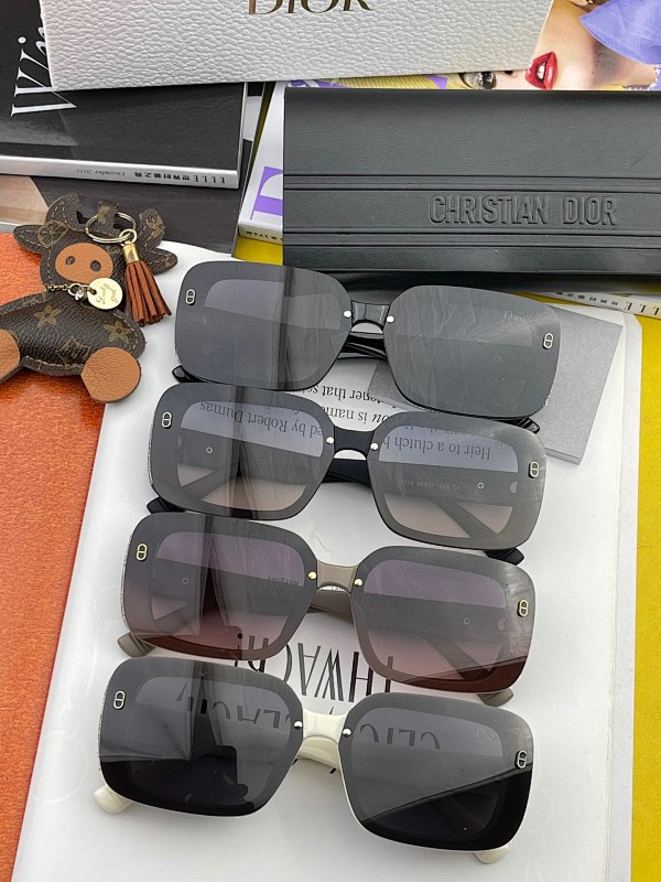 DIOR SUNGLASSES (62)