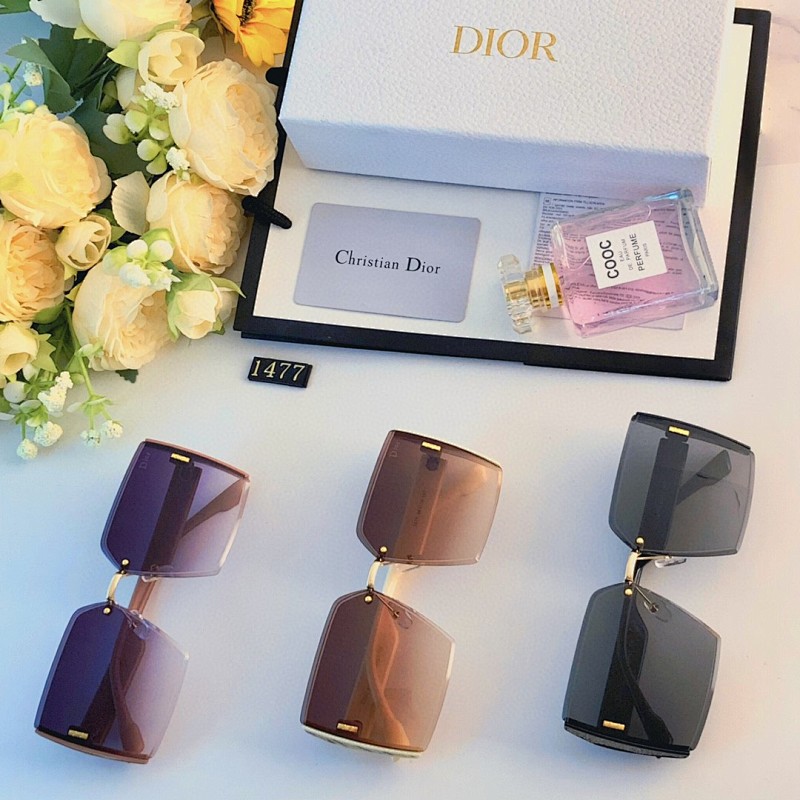 DIOR SUNGLASSES (165)