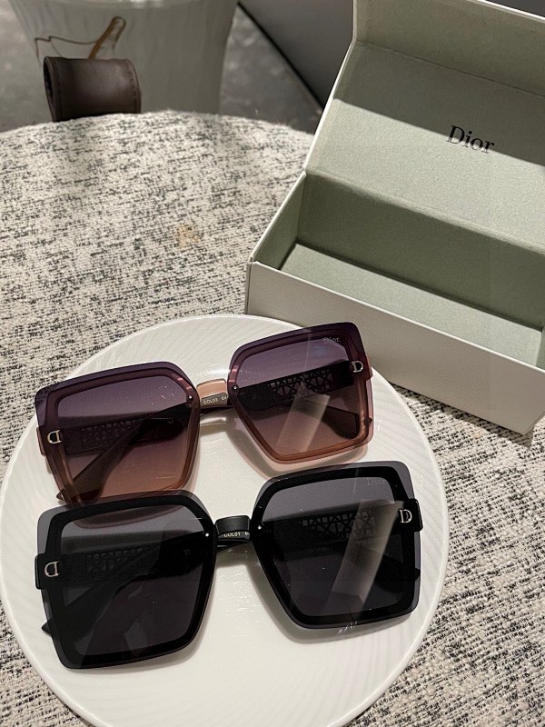 DIOR SUNGLASSES (96)