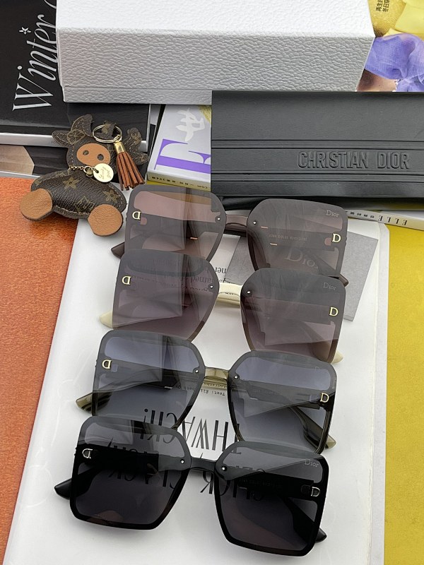 DIOR SUNGLASSES (14)
