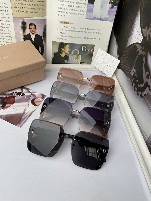 DIOR SUNGLASSES (128)