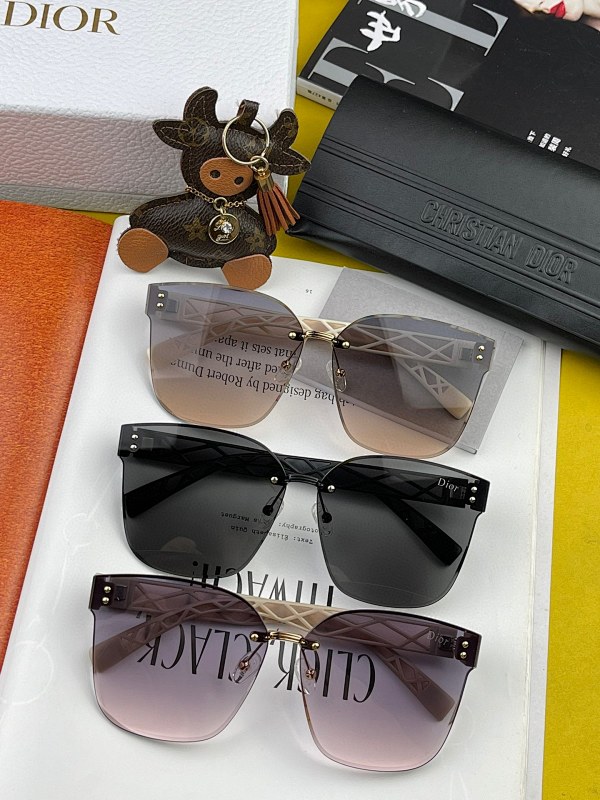 DIOR SUNGLASSES (65)