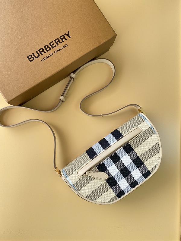 BURBERRY BAG (238)