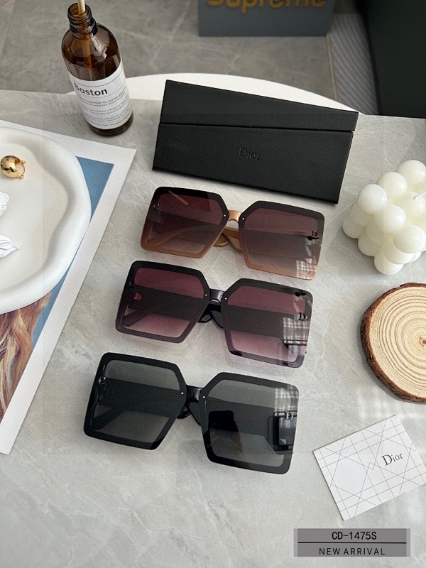 DIOR SUNGLASSES (142)