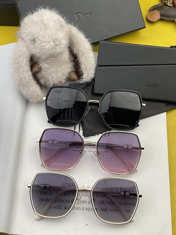 DIOR SUNGLASSES (288)