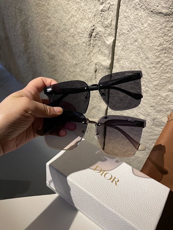 DIOR SUNGLASSES (140)