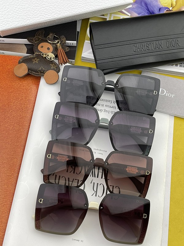 DIOR SUNGLASSES (57)