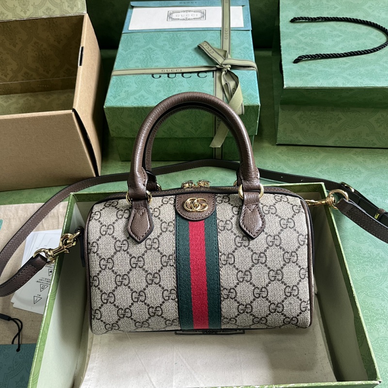 GUCCI BAG (22)