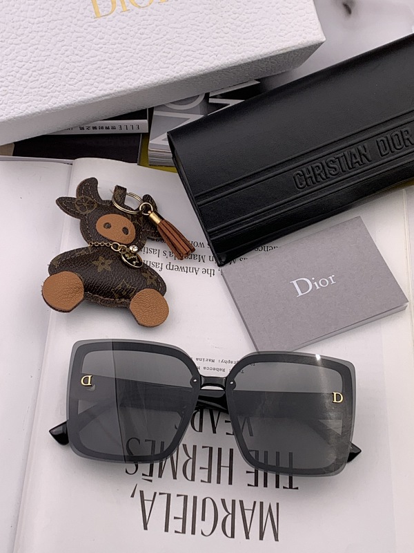 DIOR SUNGLASSES (176)