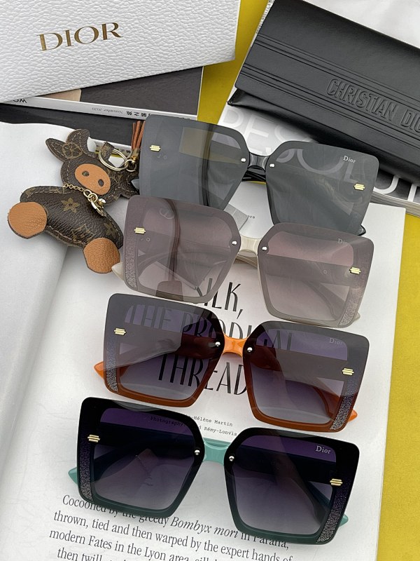 DIOR SUNGLASSES (131)