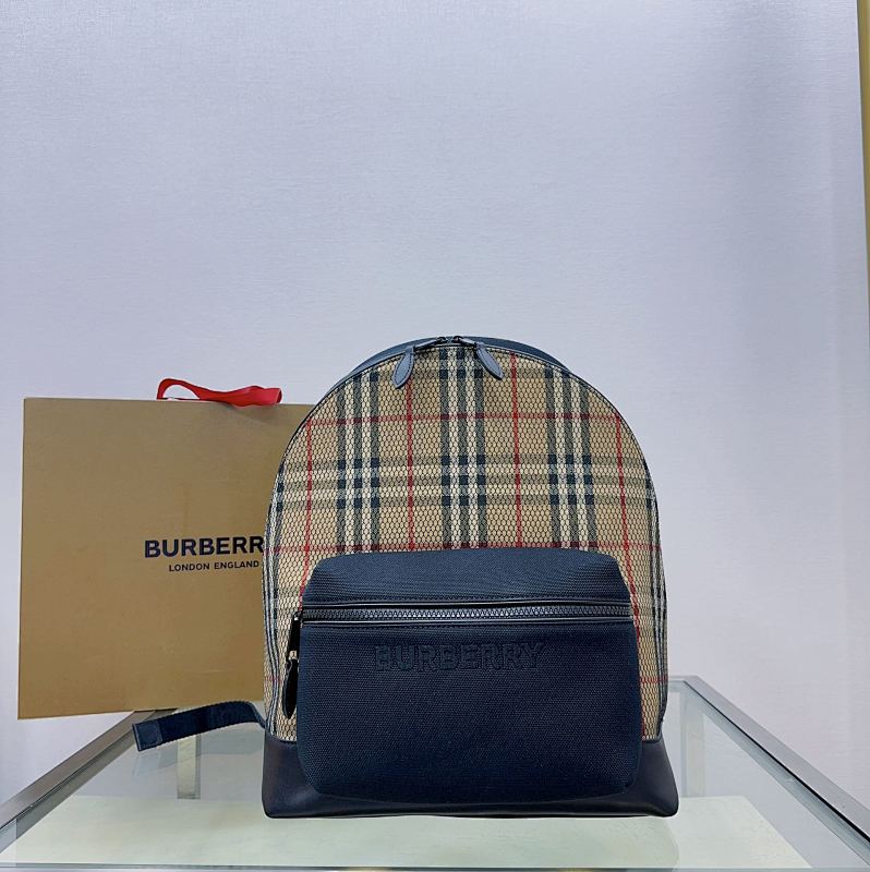 BURBERRY BAG (172)