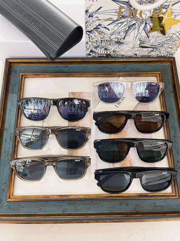 DIOR SUNGLASSES (223)