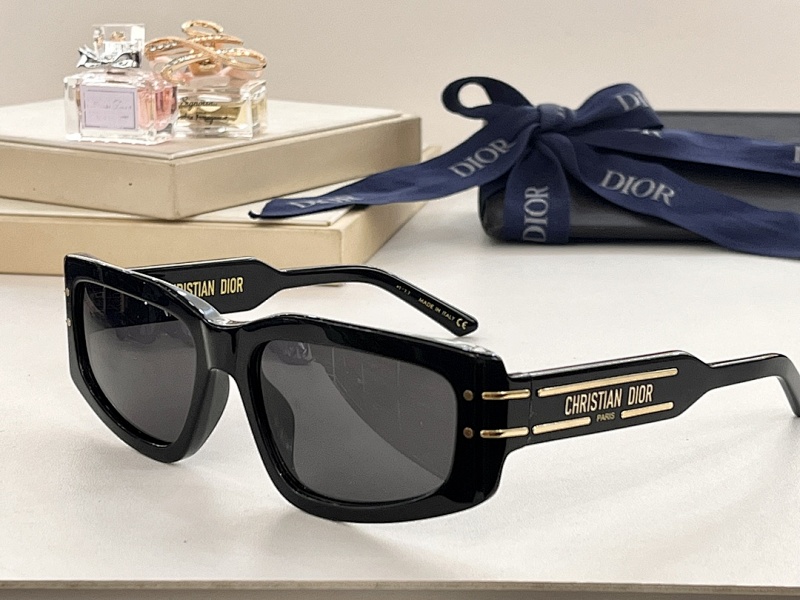 DIOR SUNGLASSES (127)
