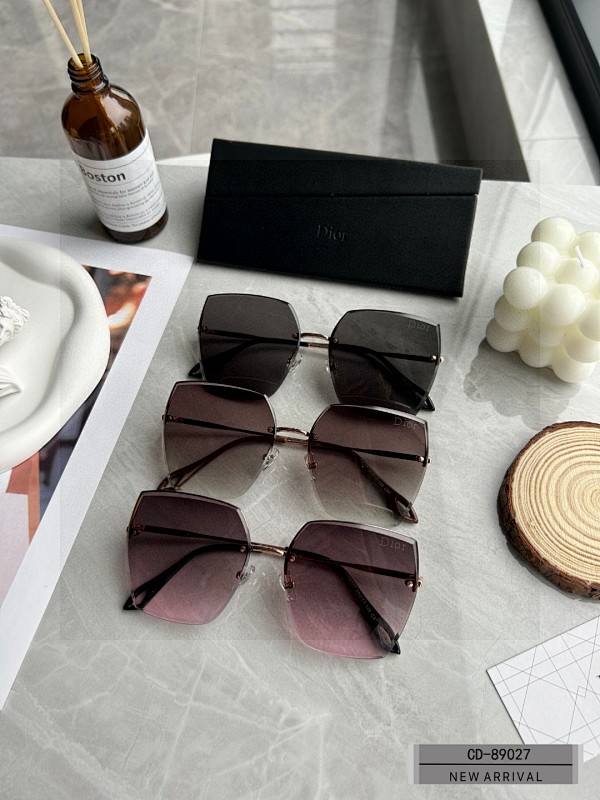 DIOR SUNGLASSES (49)