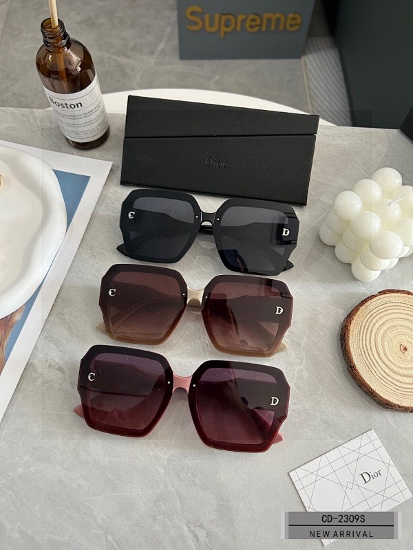 DIOR SUNGLASSES (47)