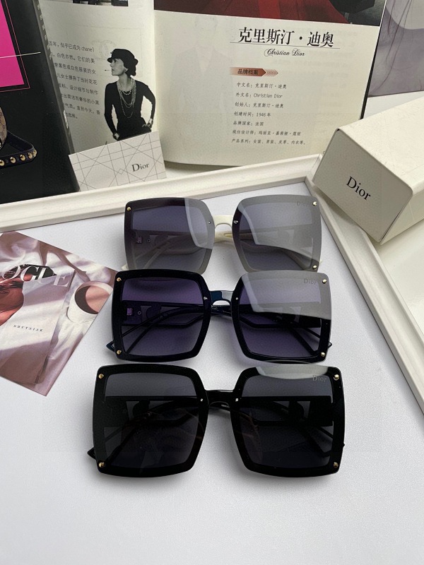 DIOR SUNGLASSES (107)