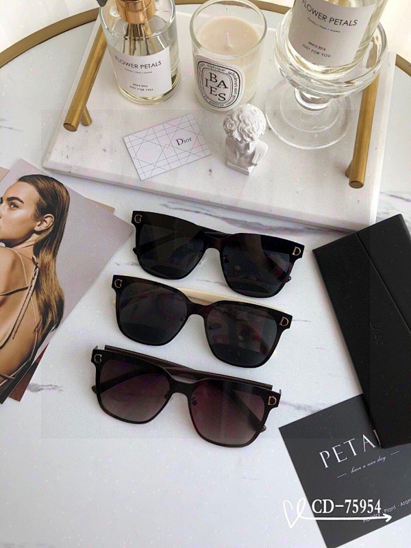 DIOR SUNGLASSES (119)