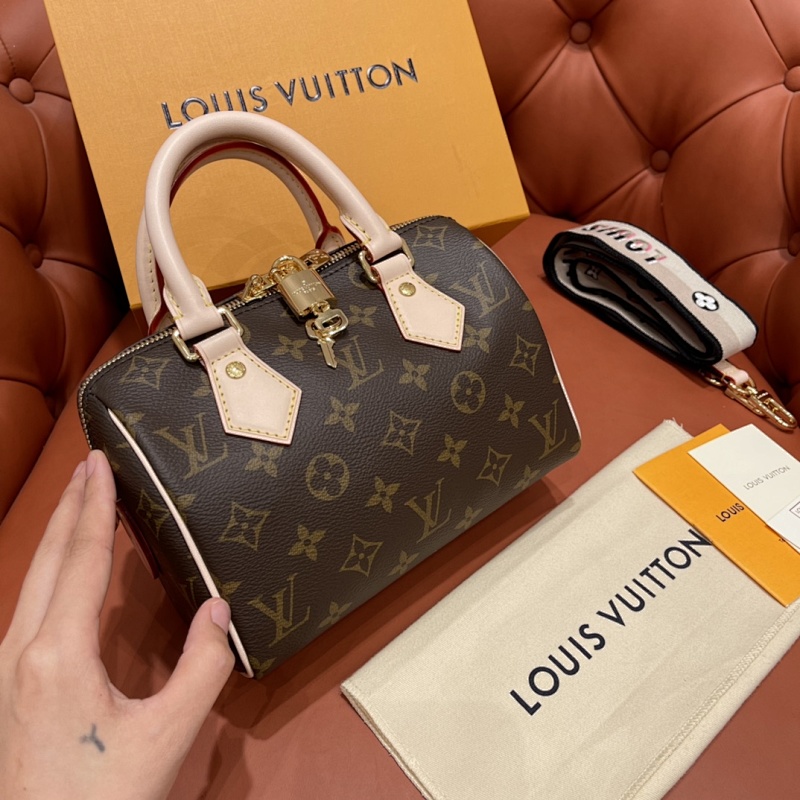 LOUIS VUITTON BAG (69)