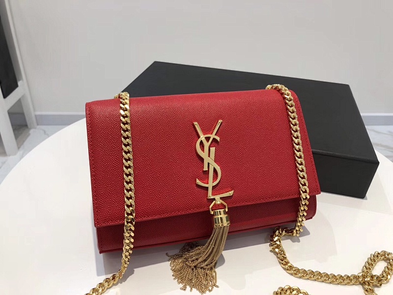 YSL BAG (16)