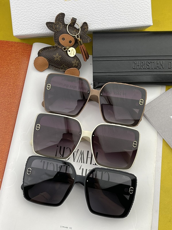 DIOR SUNGLASSES (157)