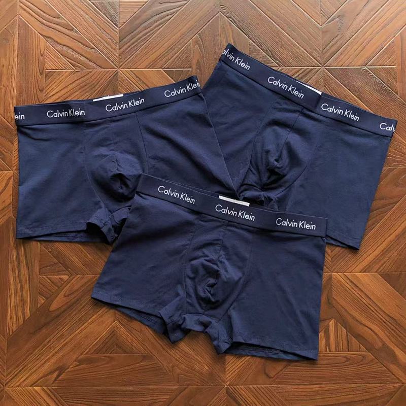 CALVIN KELIN UNDERPANTS (28)