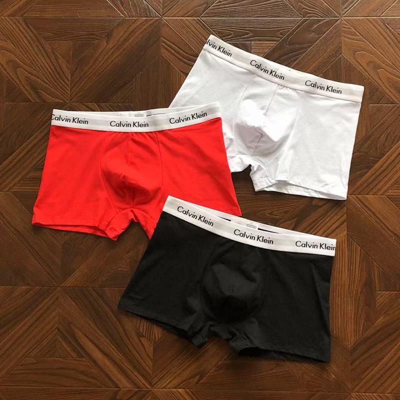 CALVIN KELIN UNDERPANTS (43)