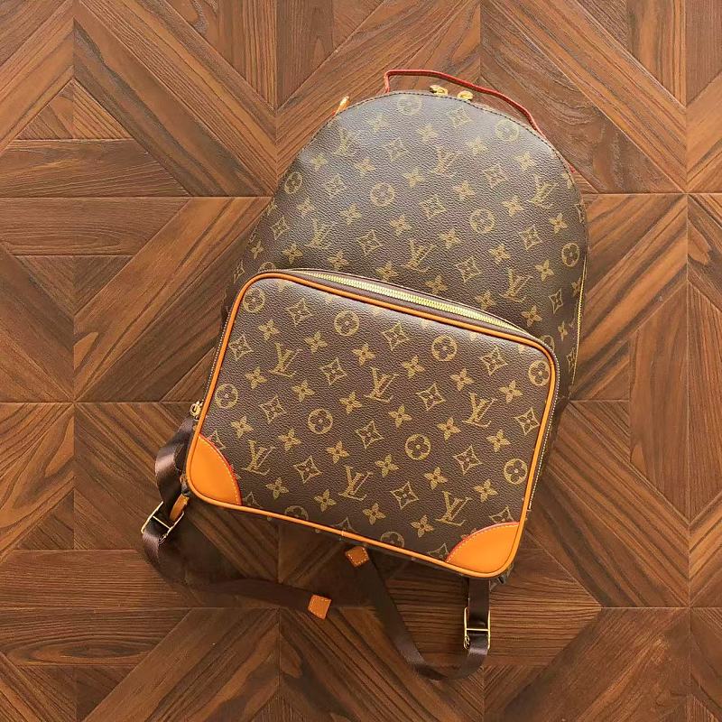 LOUIS VUITTON BAGS (13)