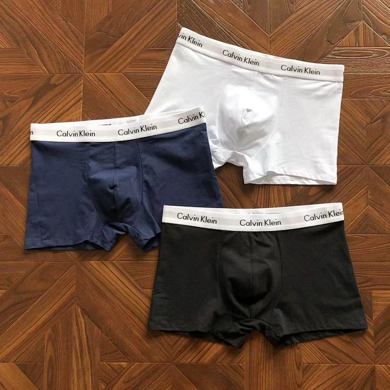CALVIN KELIN UNDERPANTS (26)