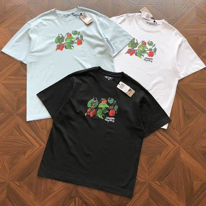 CARHARTT TSHIRTS (227)