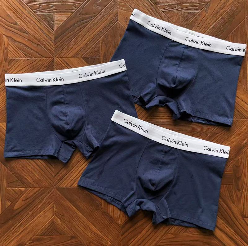 CALVIN KELIN UNDERPANTS (19)